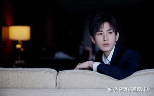 成毅张予曦最新爆料,揭秘幕后故事与情感纠葛  第2张